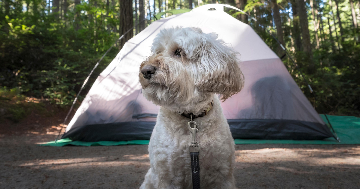 Camping Etiquette | Jellystone Park™ Pelahatchie