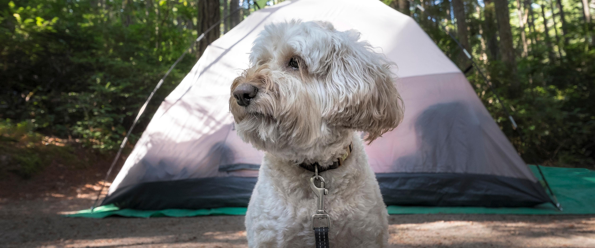 Camping Etiquette | Jellystone Park™ Pelahatchie